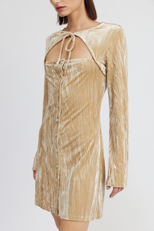 Long Sleeve Mini Suede Mini Dress Oyster / S