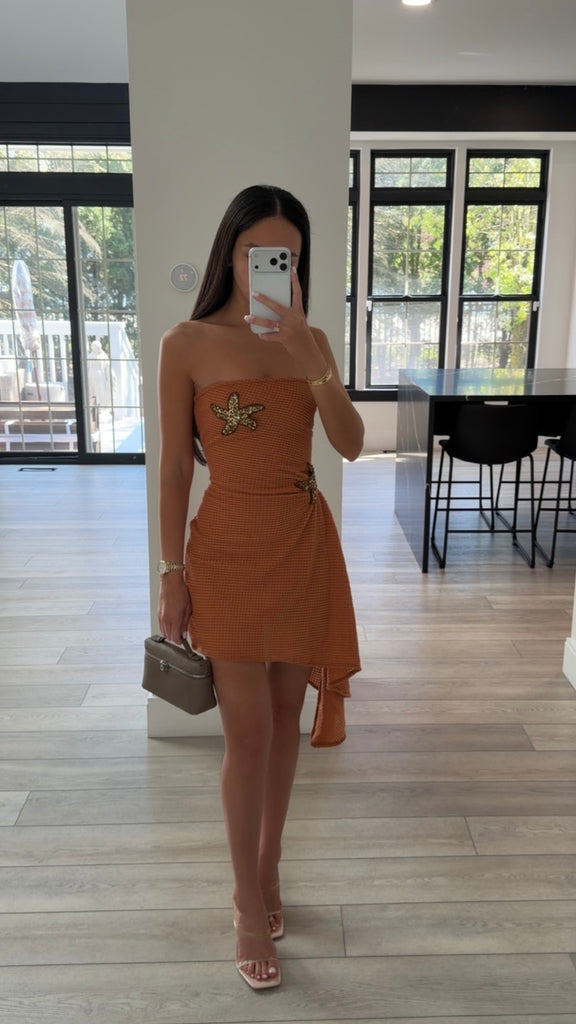 Shell Crochet Mini Dress Shell Crochet Mini Dress