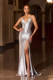 ILLUSION V NECK GOWN