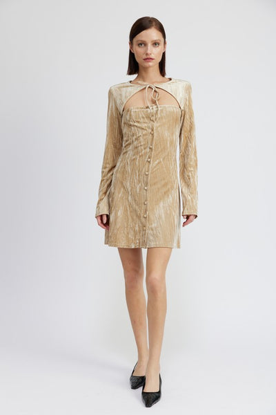Long Sleeve Mini Suede Mini Dress Oyster / S