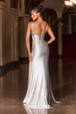 ILLUSION V NECK GOWN