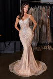 VILLANA GOWN