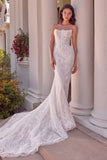 FITTED LACE MERMAID BRIDAL GOWN - PREORDER