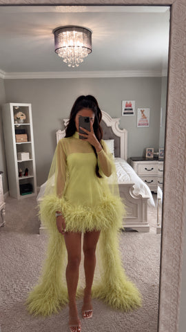 Feather-Trimmed Sheer Mock Neck Mini Dress