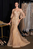 LONG SLEEVE LACE GOWN